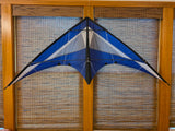 Nighthawk Sport Kite