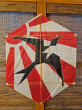 Frigate Bird #9