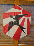 Frigate Bird #9